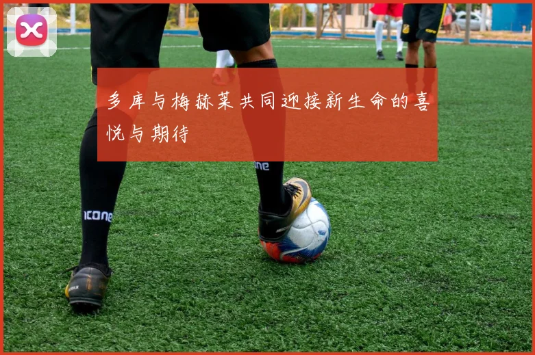 多库与梅赫莱共同迎接新生命的喜悦与期待