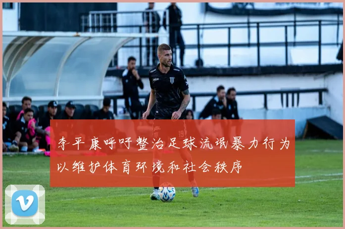 李平康呼吁整治足球流氓暴力行为以维护体育环境和社会秩序